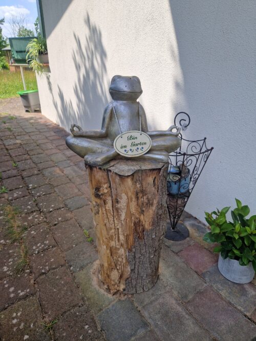 Frosch Shana Seminarhaus 2025
