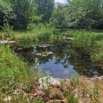 Teich Shana Seminarhaus