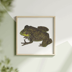 Dein Krafttier: Frosch – Kunstdruck – Limitierte Edition