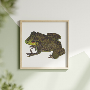 Mockup Shop