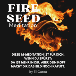 FIRE SEED – 1:1 Visions-Anker Meditation (online)