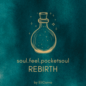 Beitrag soul.feel.pocketsoul REBIRTH