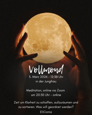 moonspace VM 20260303